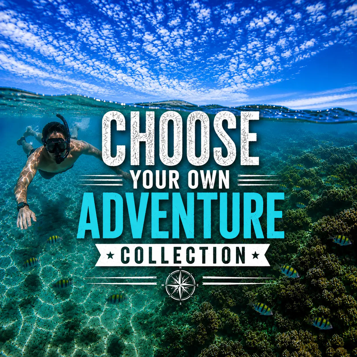 ✈️Dream Reef Destination Collection