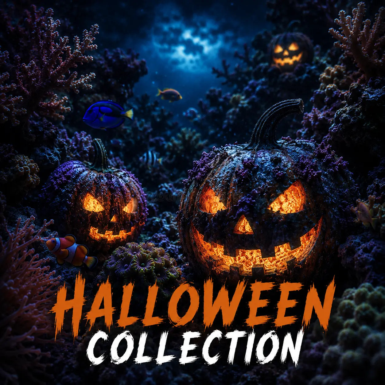 🎃 Reef Halloween Collection