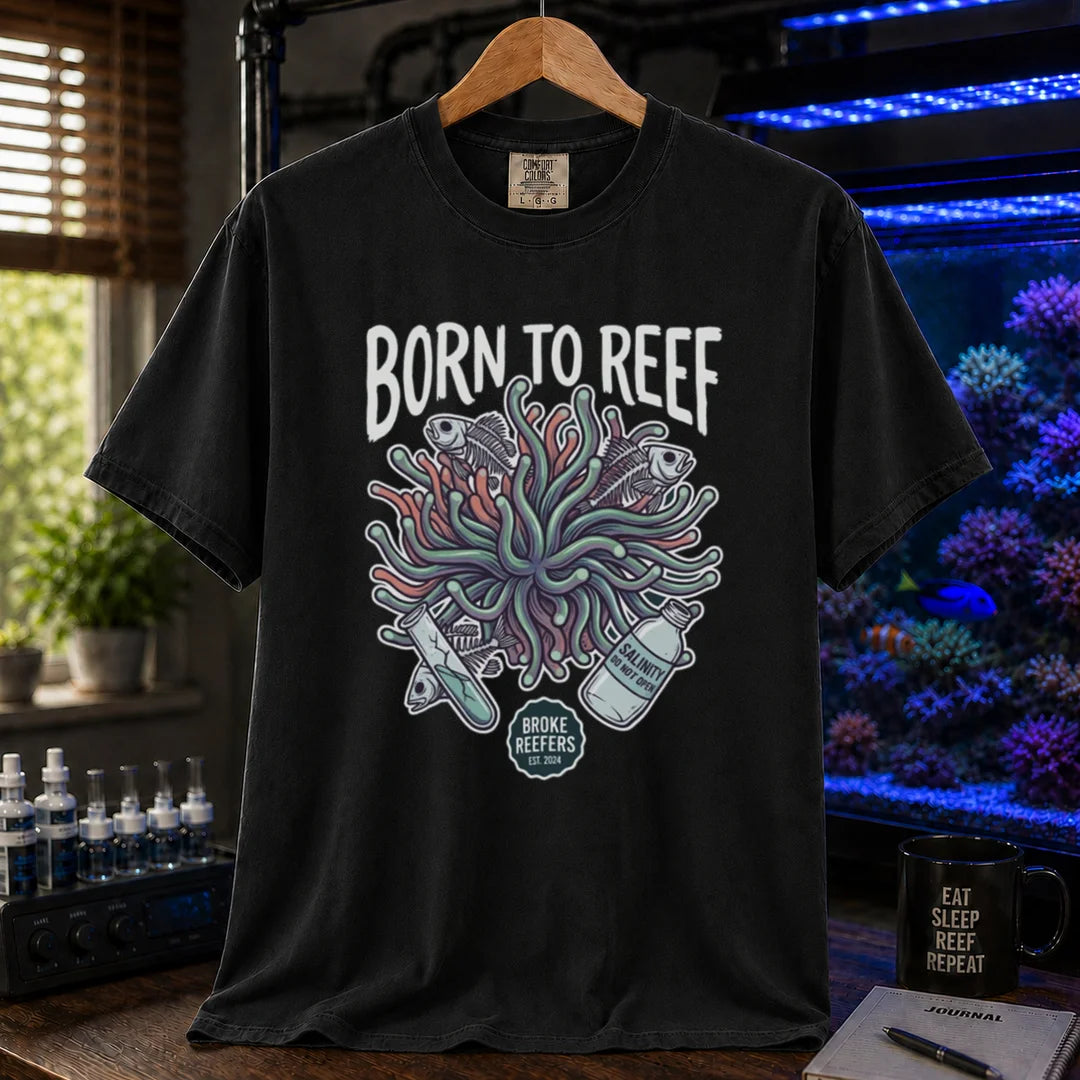 Saltwater aquarium graphic t-shirt featuring an anemone illustration and text: BORN TO REEF, BROKE REEFERS EST. 2024, black crew neck tee