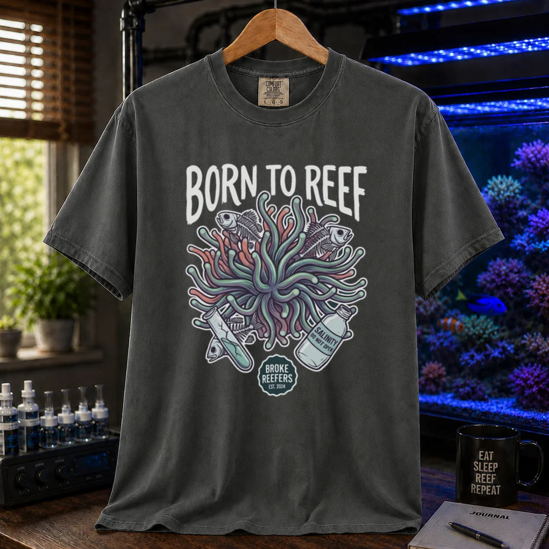 Saltwater aquarium graphic t-shirt featuring an anemone illustration and text: BORN TO REEF, BROKE REEFERS EST. 2024, khaki crew neck tee