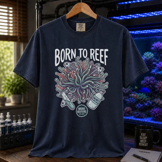 Saltwater aquarium graphic t-shirt featuring an anemone illustration and text: BORN TO REEF, BROKE REEFERS EST. 2024, navy crew neck tee