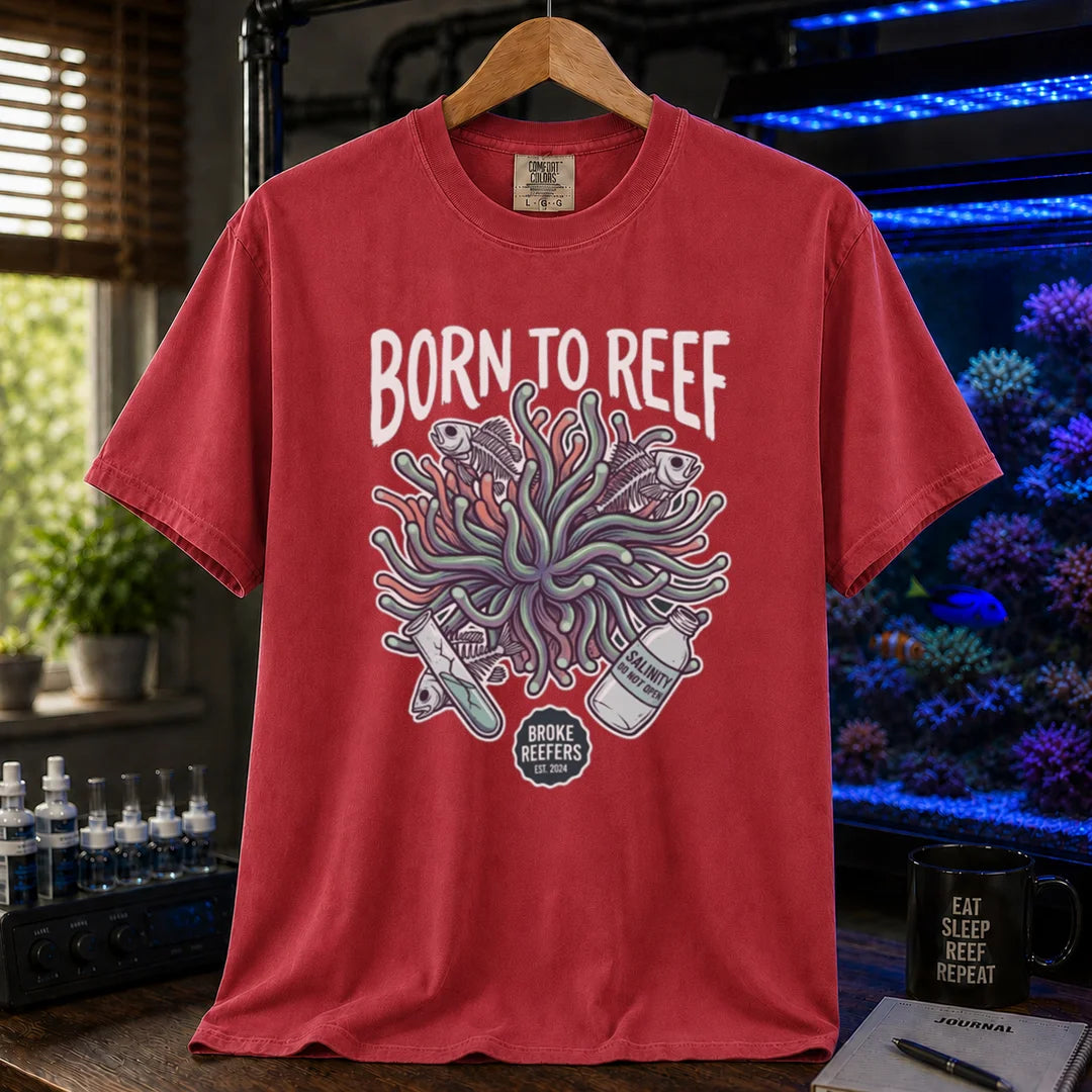 Saltwater aquarium graphic t-shirt featuring an anemone illustration and text: BORN TO REEF, BROKE REEFERS EST. 2024, red crew neck tee