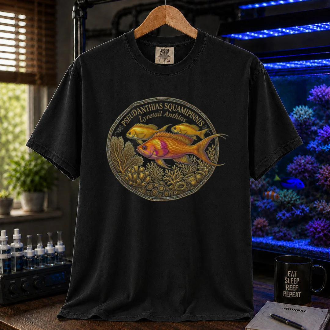 Saltwater aquarium graphic t-shirt featuring a Lyretail Anthias scientific illustration badge and text: PSEUDANTHIAS SQUAMIPINNIS Lyretail Anthias, black crew neck tee