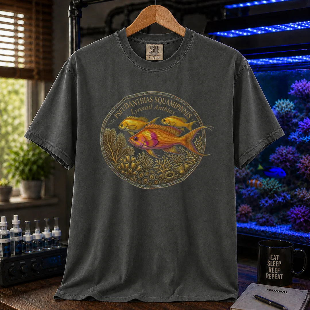 Saltwater aquarium graphic t-shirt featuring a Lyretail Anthias scientific illustration badge and text: PSEUDANTHIAS SQUAMIPINNIS Lyretail Anthias, dark grey crew neck tee
