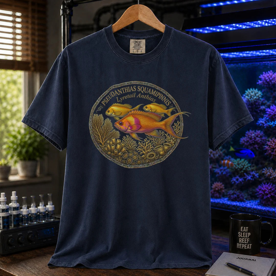 Saltwater aquarium graphic t-shirt featuring a Lyretail Anthias scientific illustration badge and text: PSEUDANTHIAS SQUAMIPINNIS Lyretail Anthias, navy crew neck tee