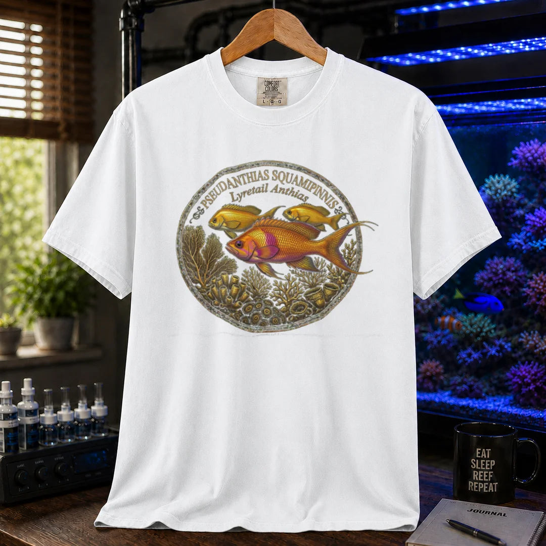 Saltwater aquarium graphic t-shirt featuring a Lyretail Anthias scientific illustration badge and text: PSEUDANTHIAS SQUAMIPINNIS Lyretail Anthias, white crew neck tee
