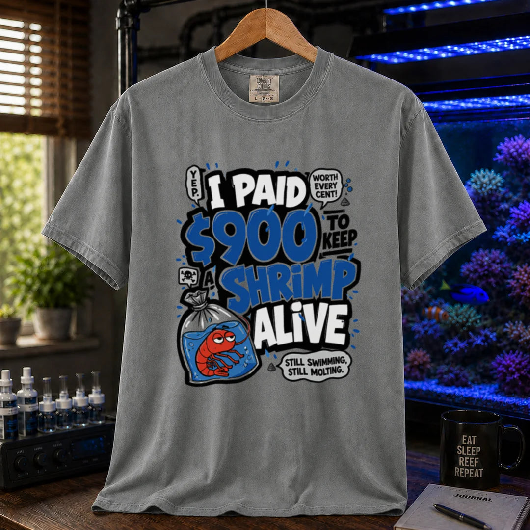 Saltwater aquarium graphic t-shirt featuring comic typography and a cartoon shrimp in a bag with text reading I Paid $900 To Keep A Shrimp Alive, grey crew neck tee