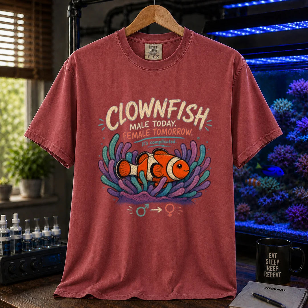 Saltwater aquarium graphic t-shirt design featuring distressed vintage typography reading Clownfish Male Today. Female Tomorrow. It's complicated with a clownfish in an anemone and gender symbols on a maroon, red t-shirt