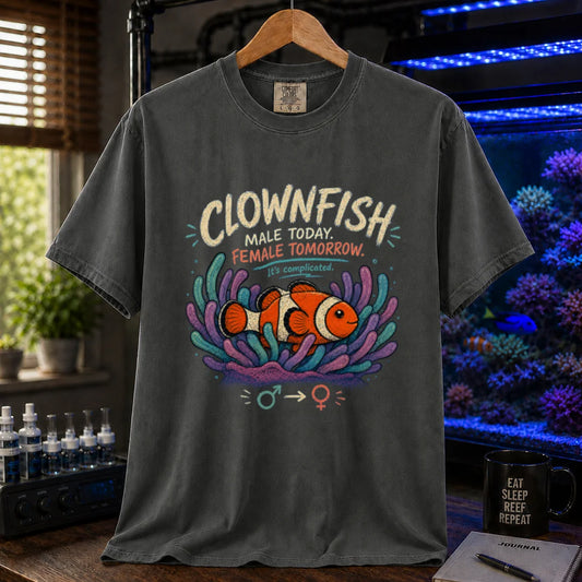 Saltwater aquarium graphic t-shirt design featuring distressed vintage typography reading Clownfish Male Today. Female Tomorrow. It's complicated with a clownfish in an anemone and gender symbols on a dark grey t-shirt