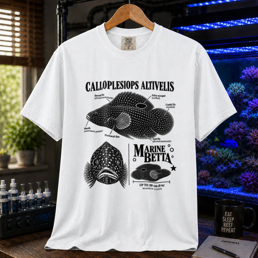 Saltwater aquarium graphic t-shirt featuring an intricate black-and-white scientific chart of the Marine Betta Calloplesiops Altivelis with anatomical labels and size specs on a white shirt