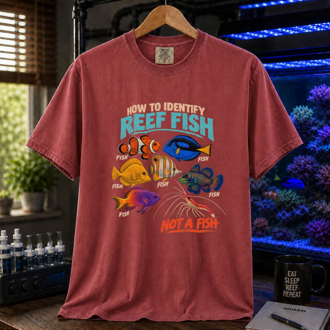 Saltwater aquarium graphic t-shirt featuring typography reading How To Identify Reef Fish above multiple fish labeled Fish and a cleaner shrimp labeled Not A Fish on a maroon, red shirt