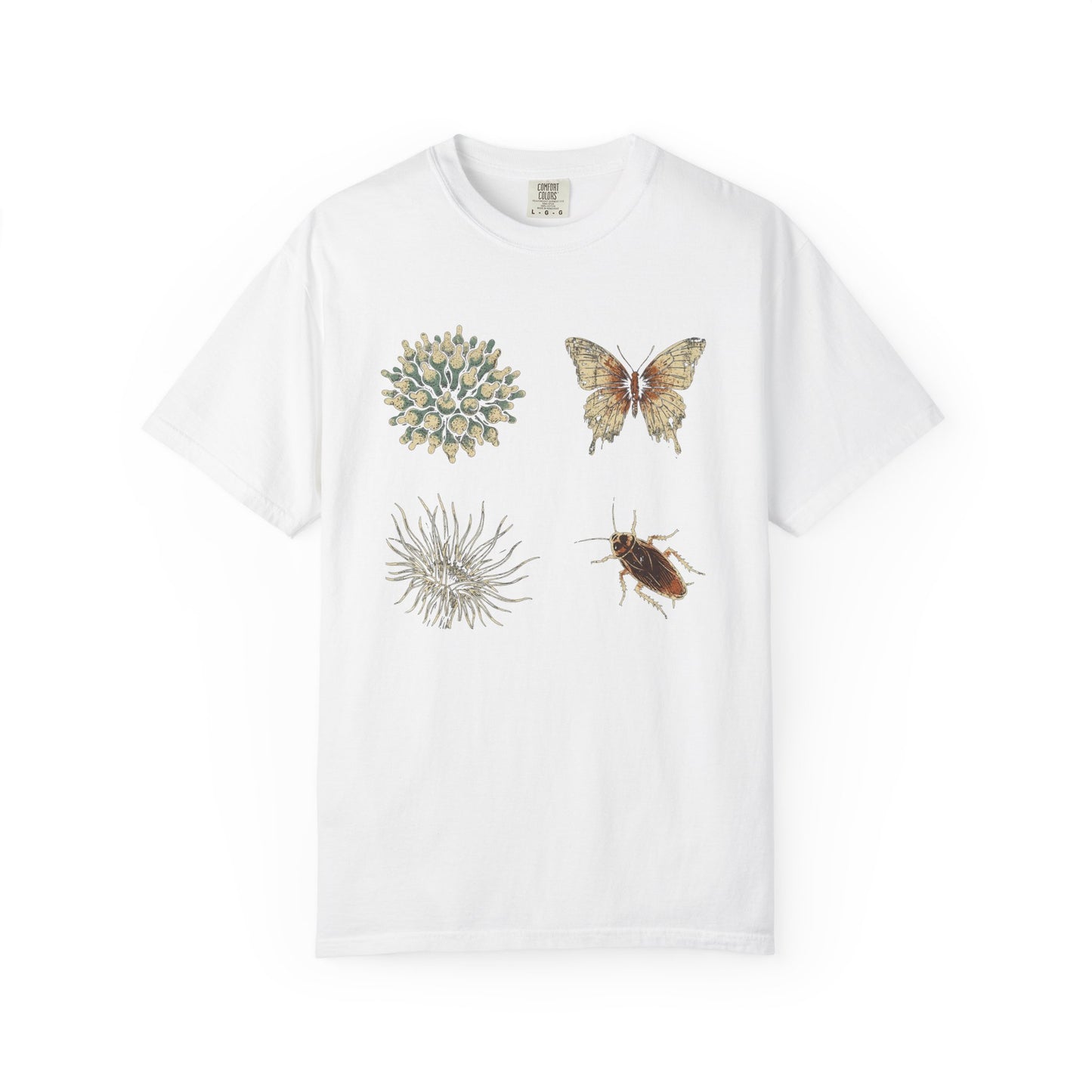 DOUBLE STANDARD – Saltwater Aquarium Graphic T-Shirt