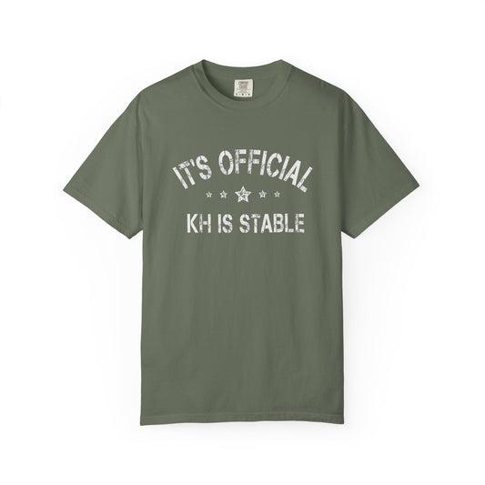 Broke Reefers graphic t-shirt featuring a bold, minimalist text design that reads: IT’S OFFICIAL, KH IS STABLE, military green crew neck tee