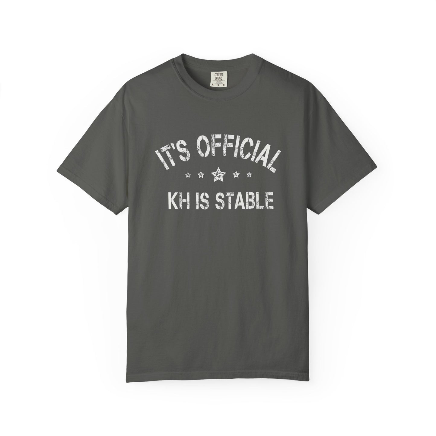 Broke Reefers graphic t-shirt featuring a bold, minimalist text design that reads: IT’S OFFICIAL, KH IS STABLE, dark khaki crew neck tee